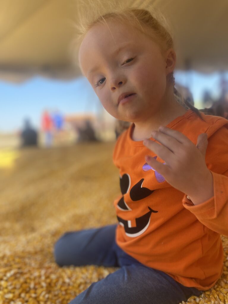 Img 0988