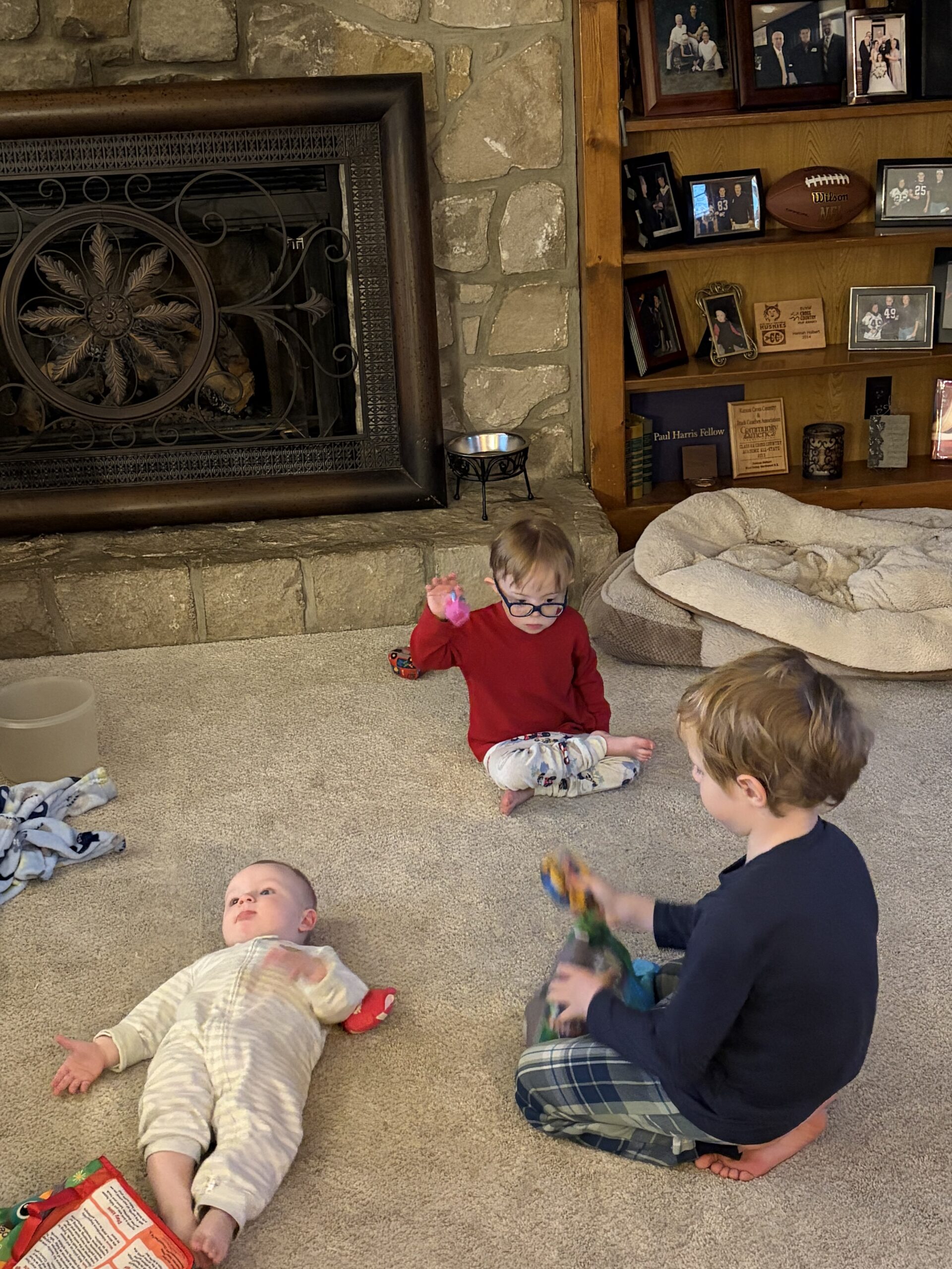 Img 0914