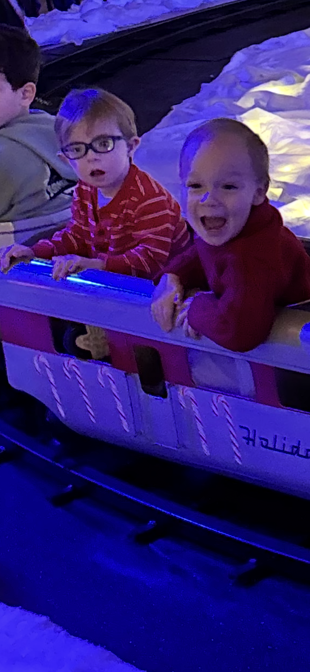 Img 1203