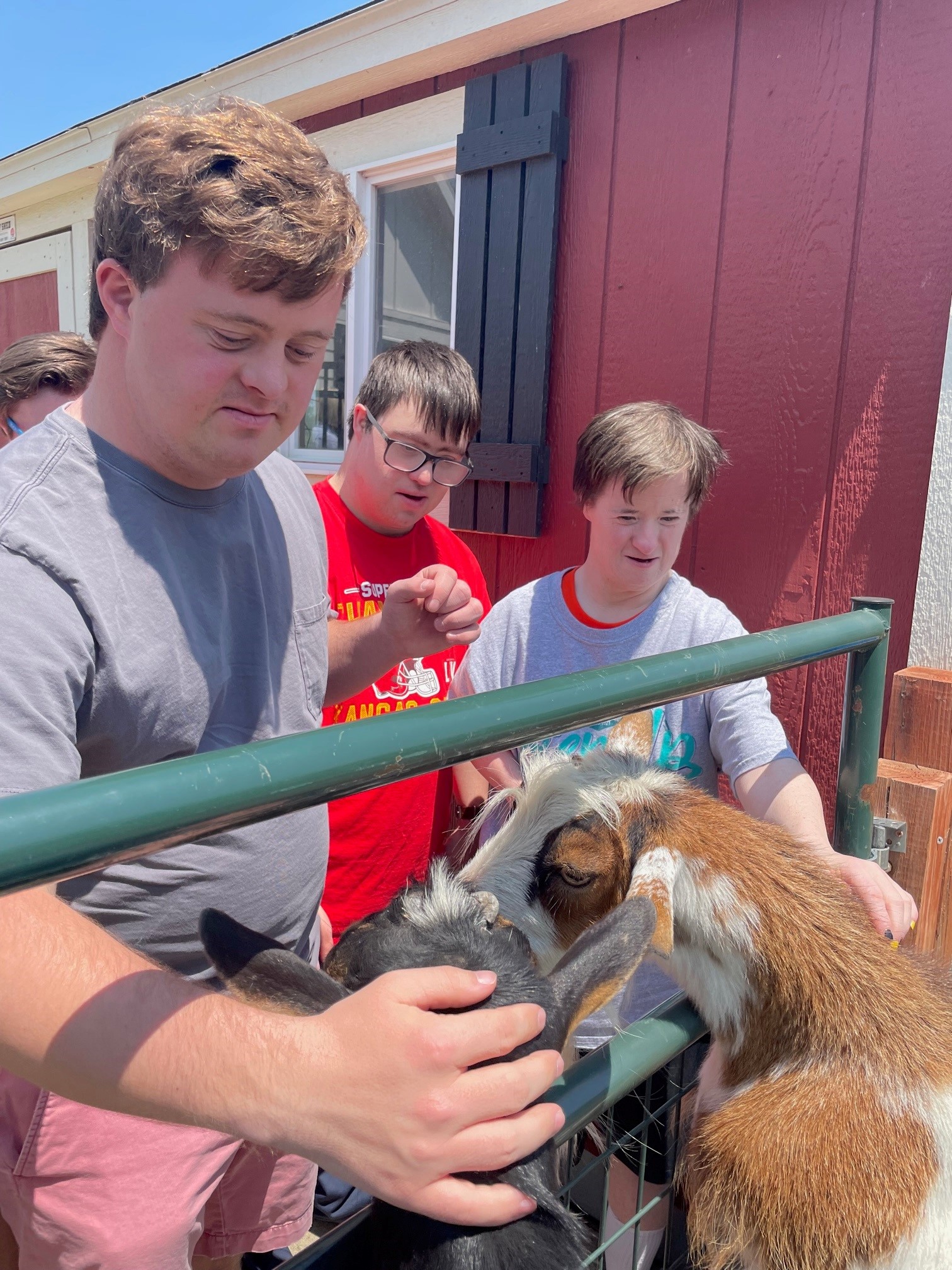 Group With Goats