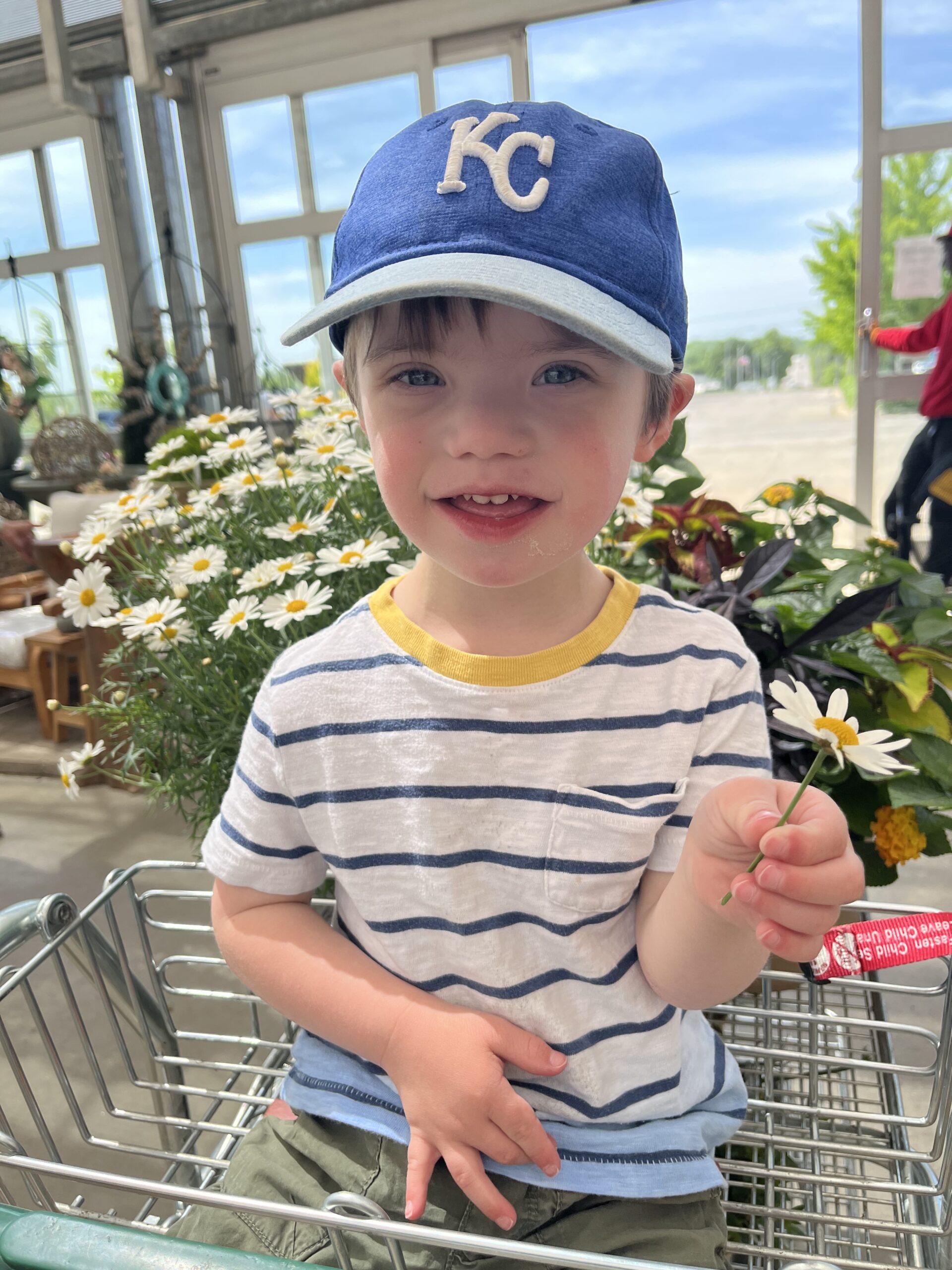 Cb2c0eb4 9d42 43c4 9ece 32509d14a490